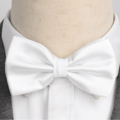 Noeud Papillon Blanc