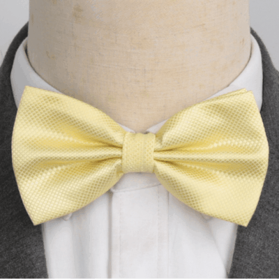 Noeud Papillon Doré