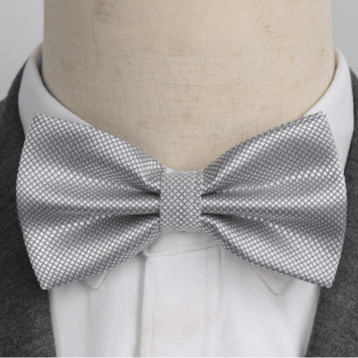 Noeud Papillon Gris