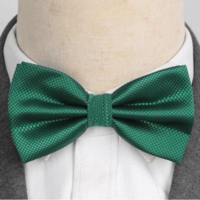 Noeud Papillon Vert